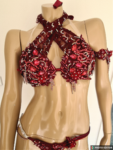 Load image into Gallery viewer, RENTAL Burgandy red Preciosa FMG costume