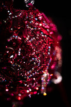 Load image into Gallery viewer, RENTAL Burgandy red Preciosa FMG costume