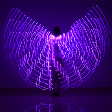 Load image into Gallery viewer, Multi-colour rainbow LED light up wings